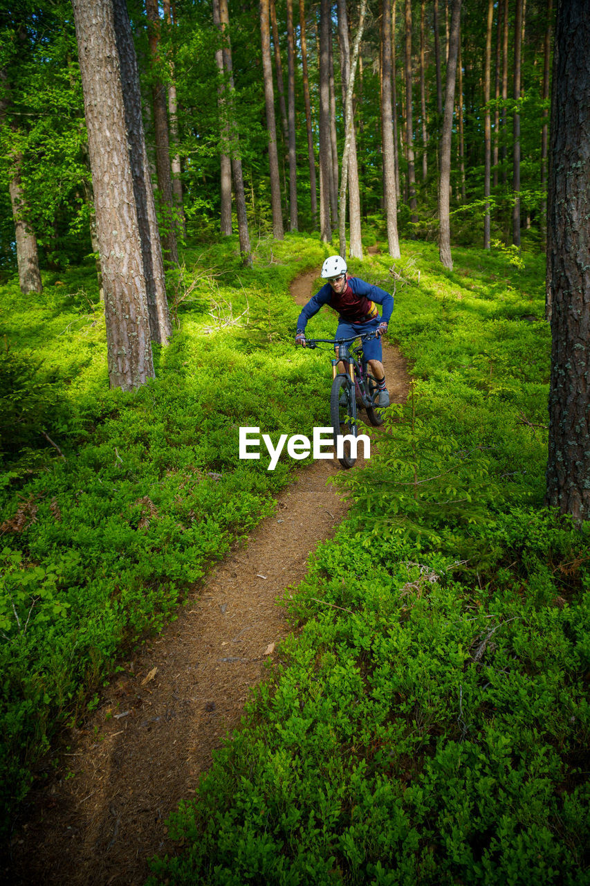 A young man riding a mountain bike on a singletrail in the forest near klagenfurt, austria.
