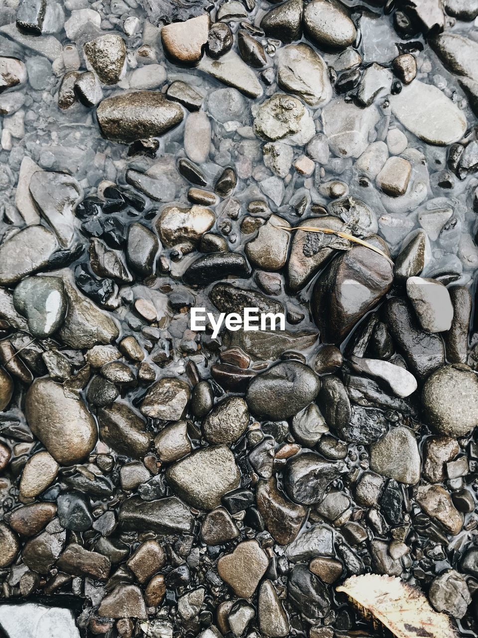 HIGH ANGLE VIEW OF STONES ON PEBBLES