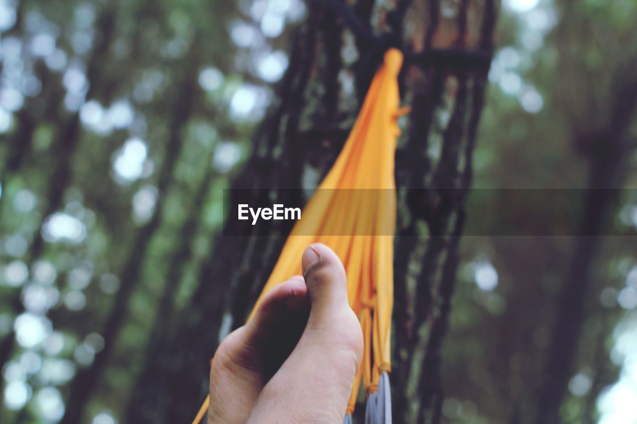 Low section of person relaxing on hammock in forest