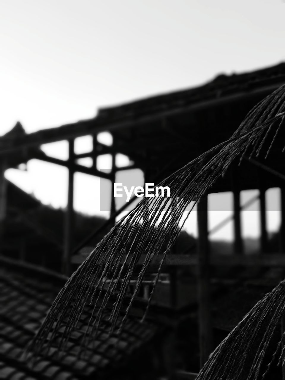 CLOSE-UP OF LEAF AGAINST BRIDGE AGAINST SKY