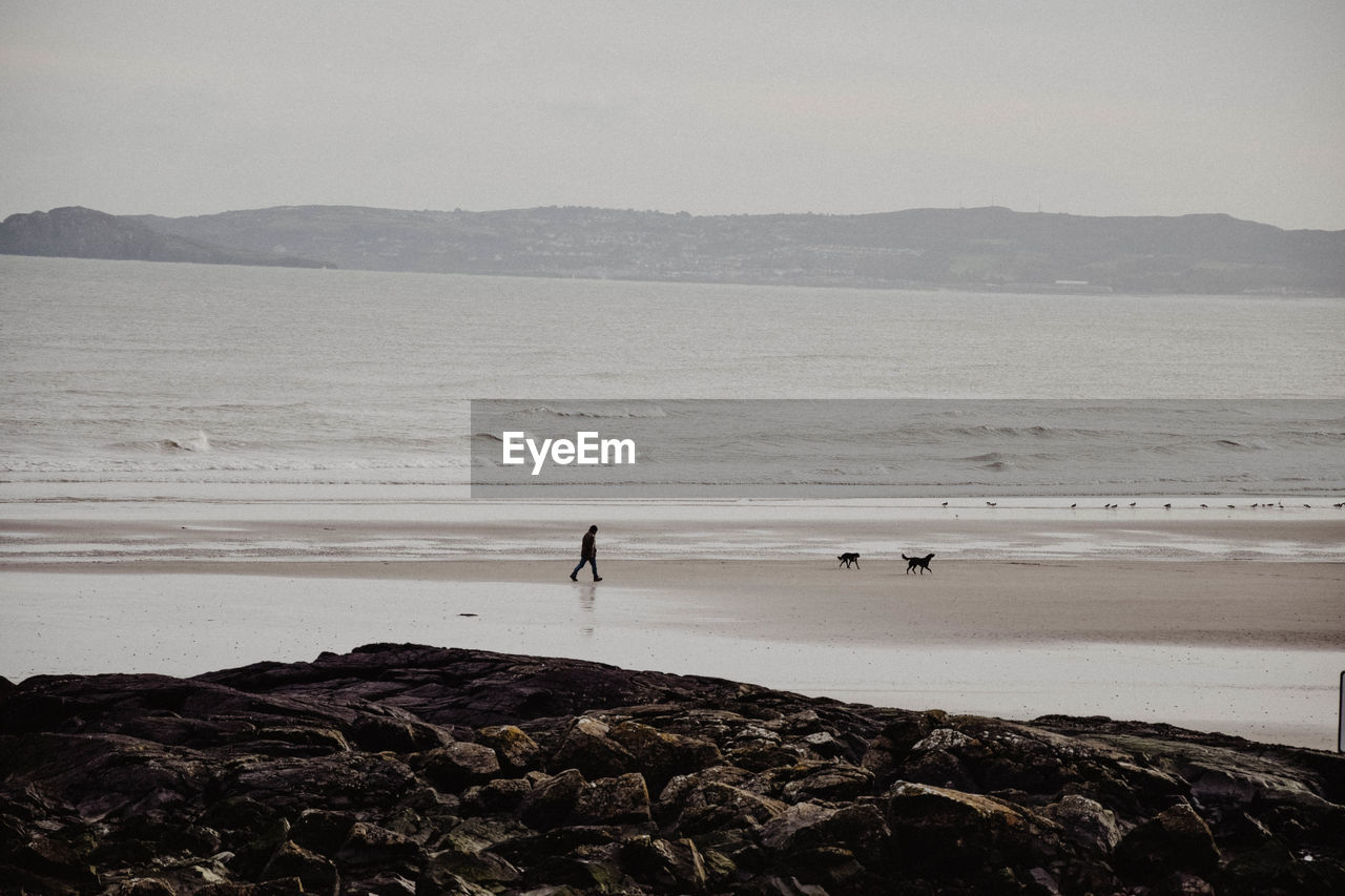 Scenic view of beach