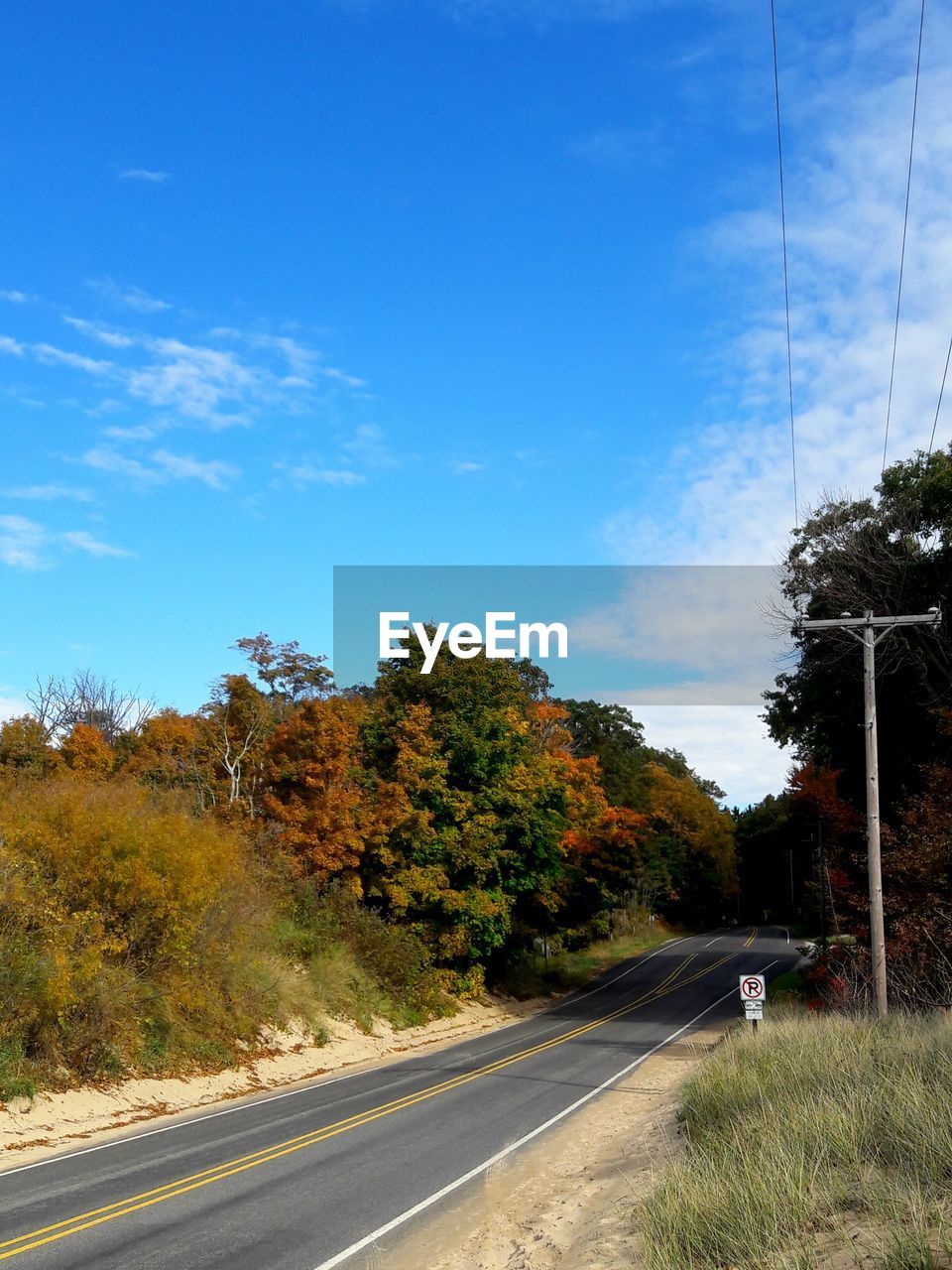 Empty country road along trees