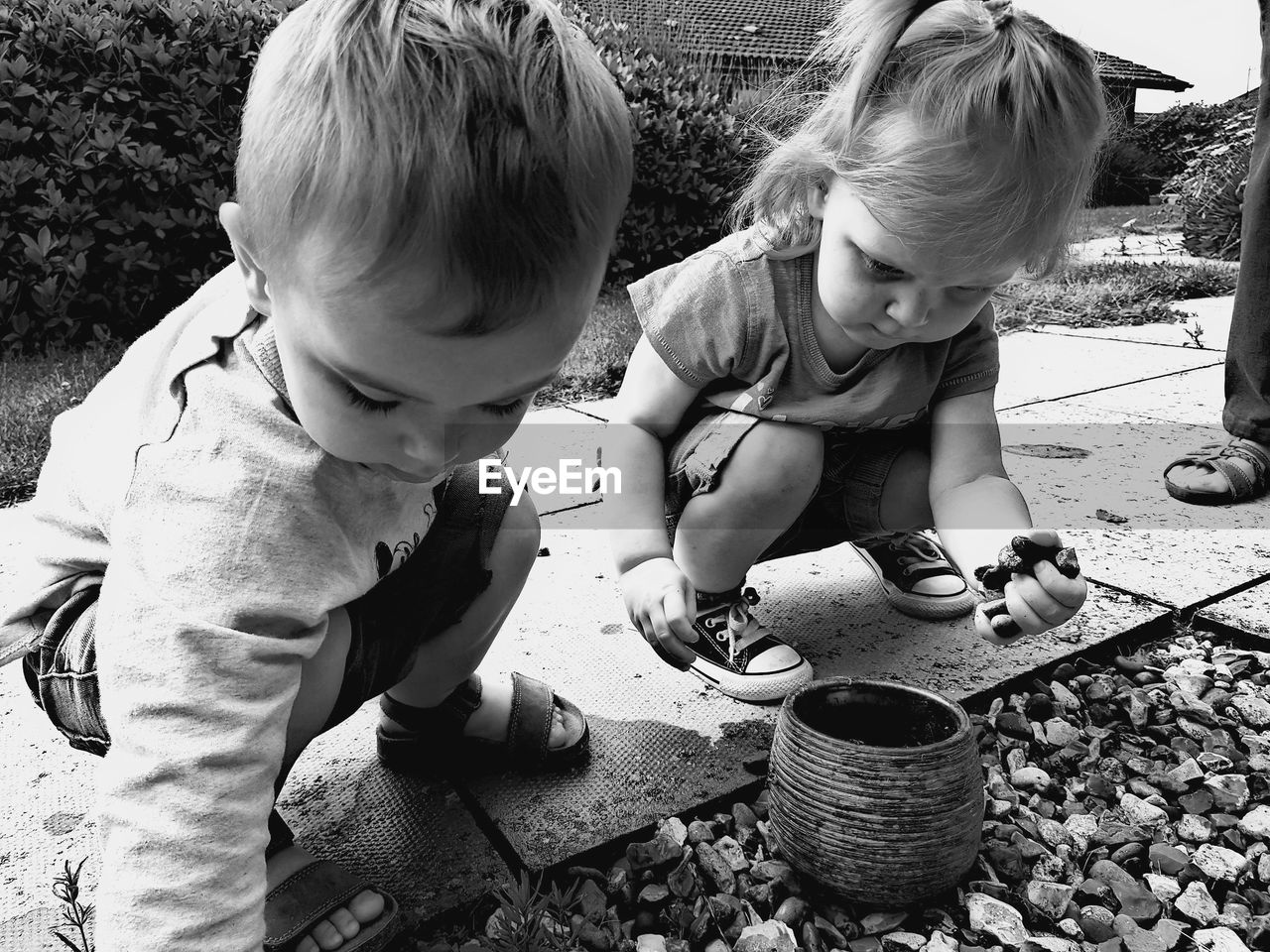 Siblings collecting pebbles while crouching in yard