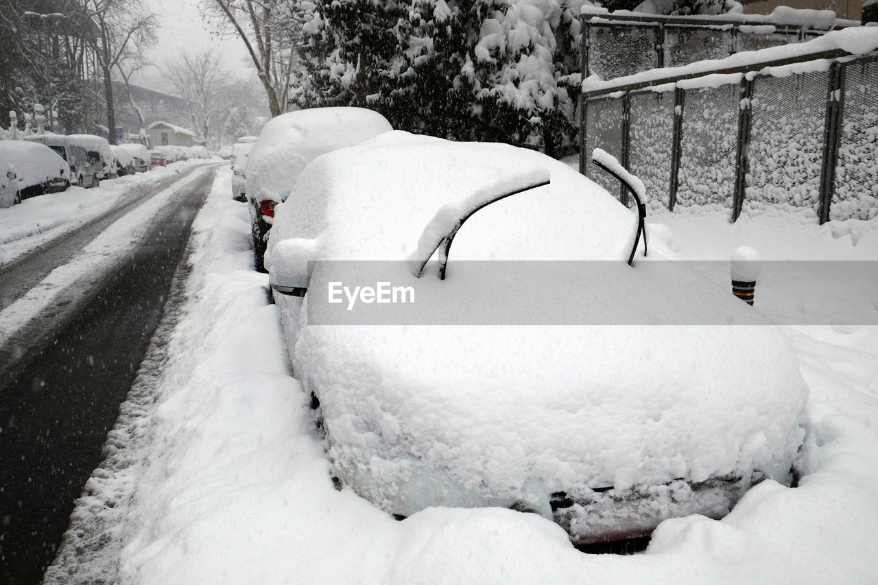 MAN IN SNOW