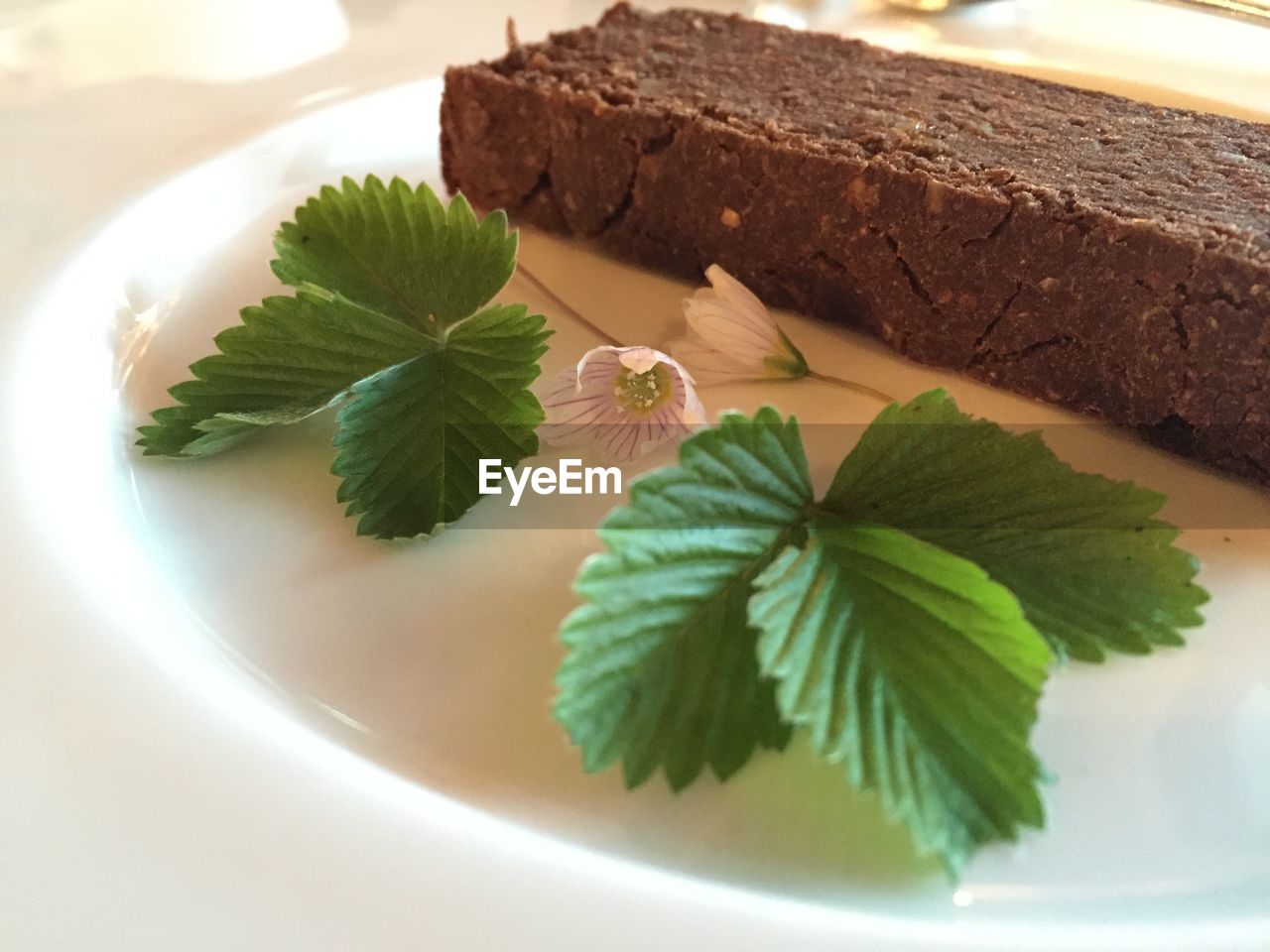 Close-up of chocolate bar on a plate with decoration