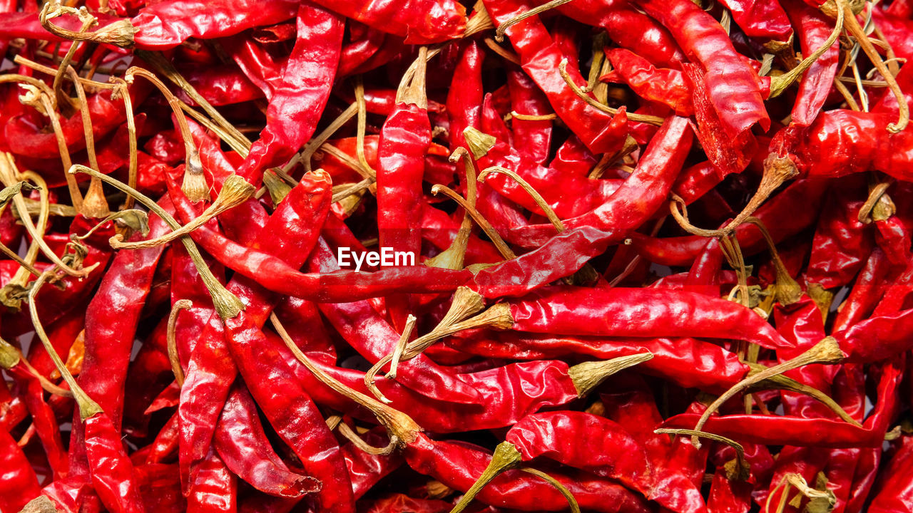 Dried chili for background. close up
