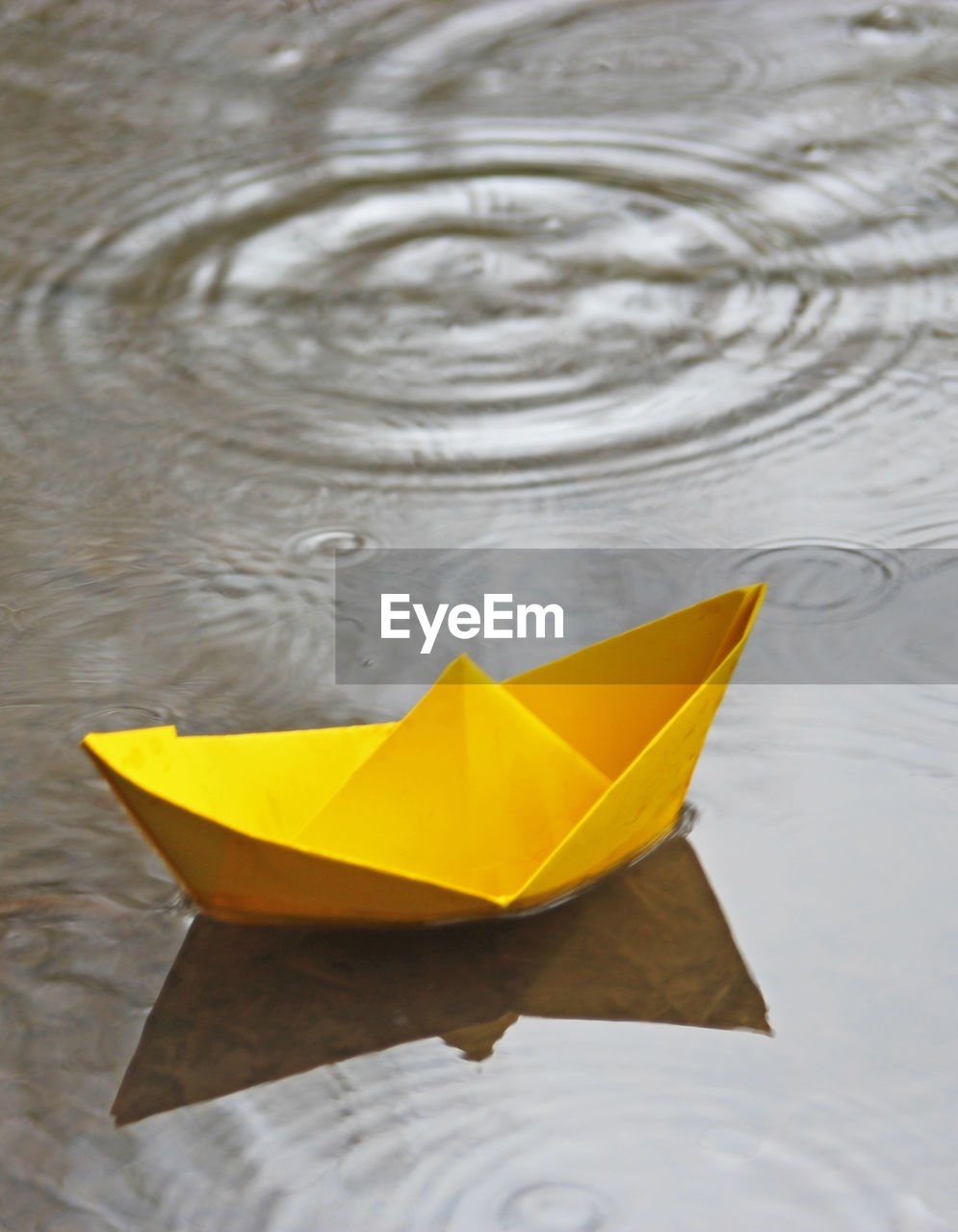 Close-up of yellow paper floating on water