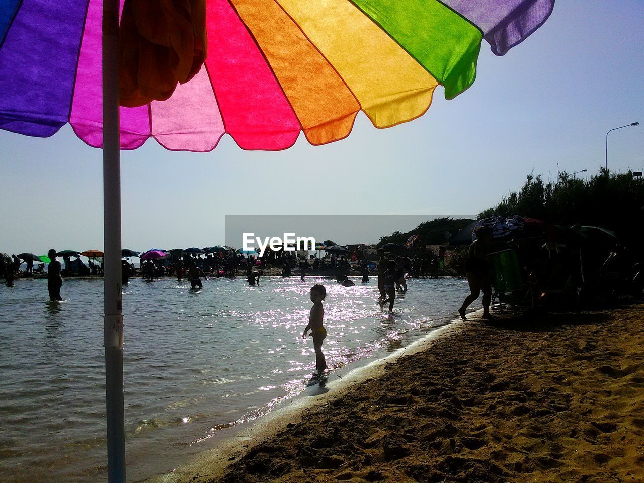 Multi colored sunshade at beach