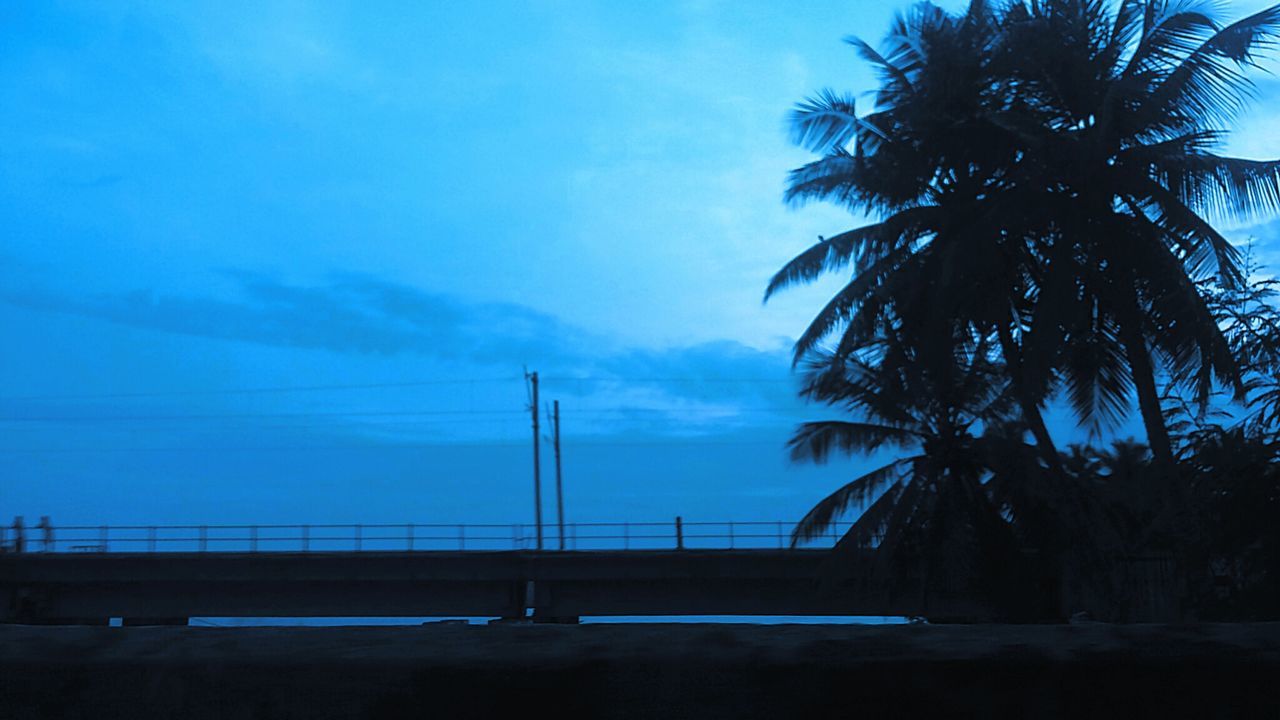 Silhouette of palm trees against blue sky