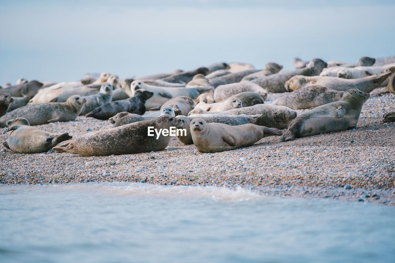 ROCKS IN SEA
