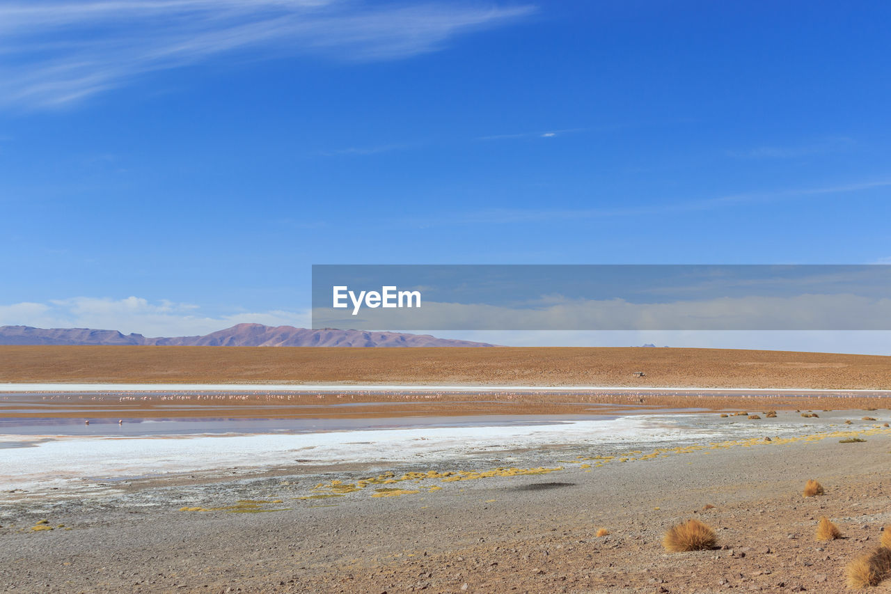 SCENIC VIEW OF BEACH