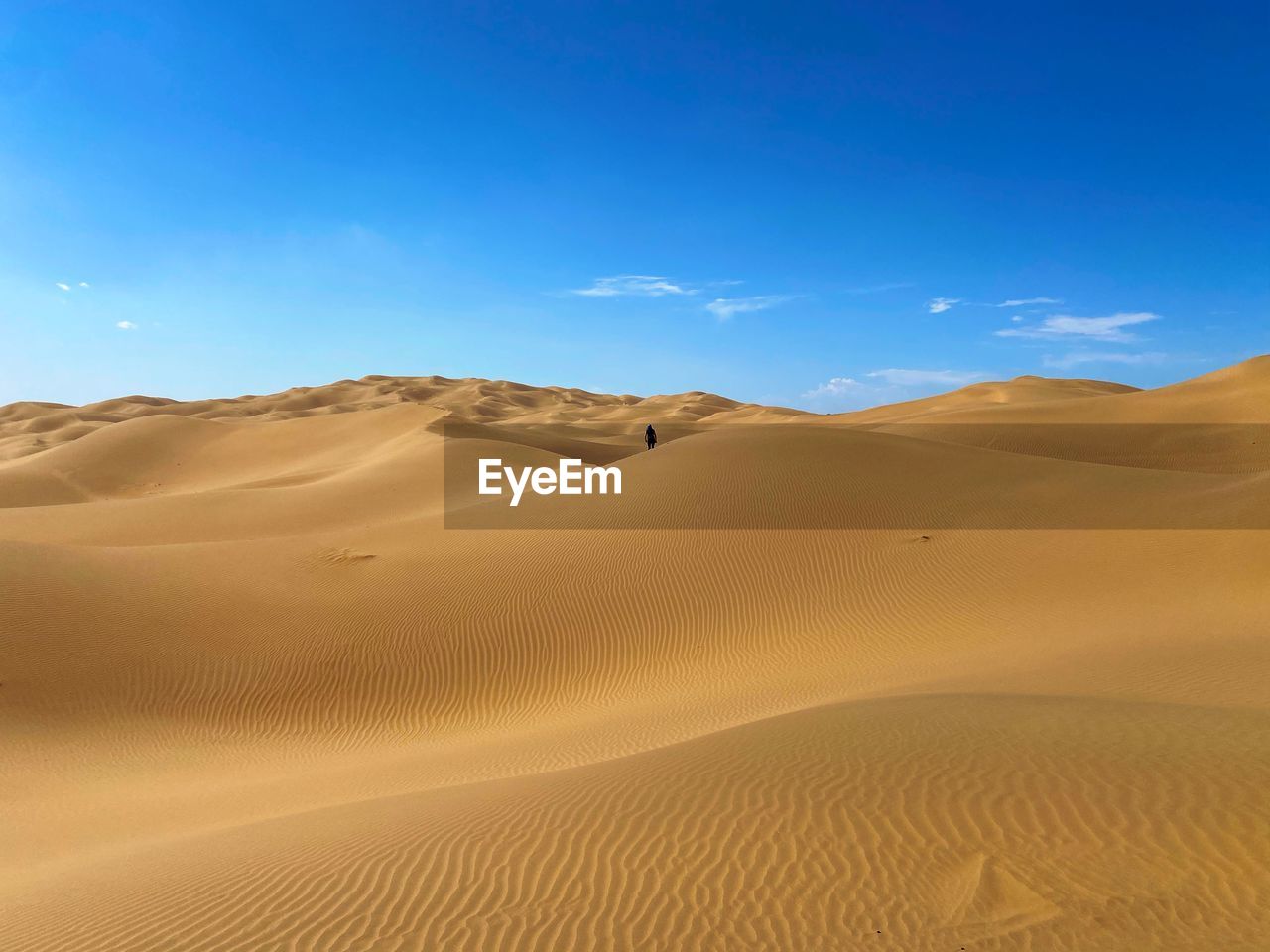 SCENIC VIEW OF DESERT AGAINST SKY