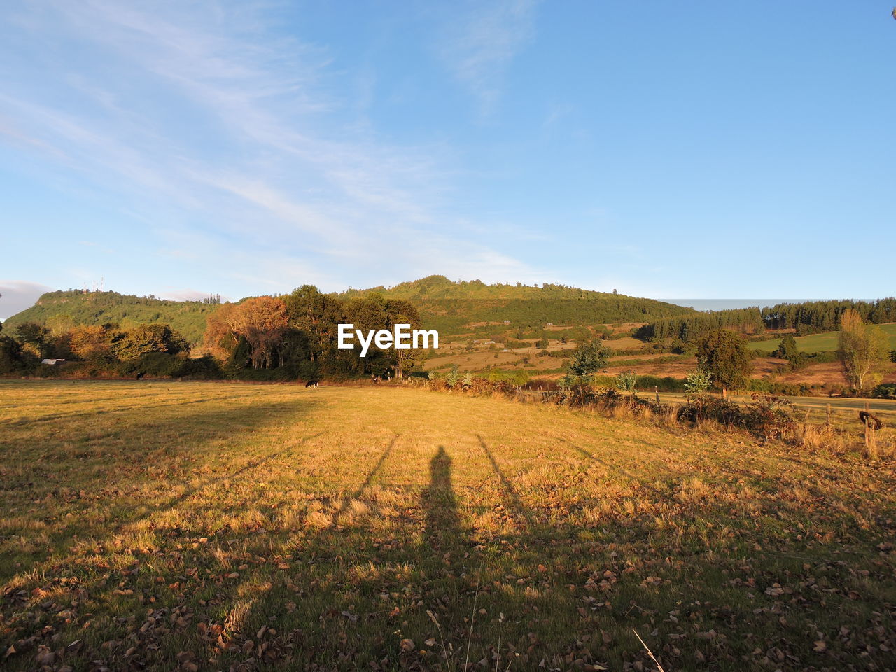 Scenic view of field against cloudy sky