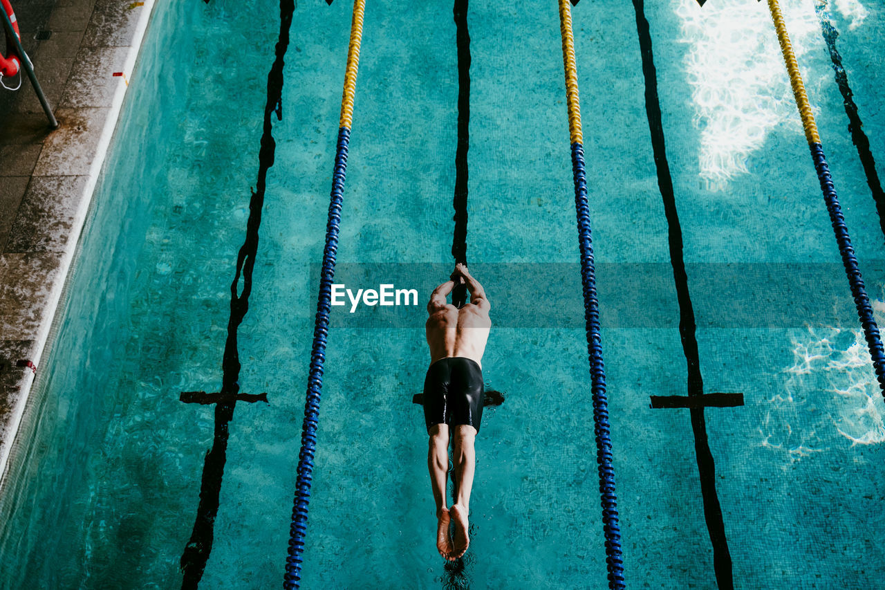 Shirtless male swimmer diving in swimming pool