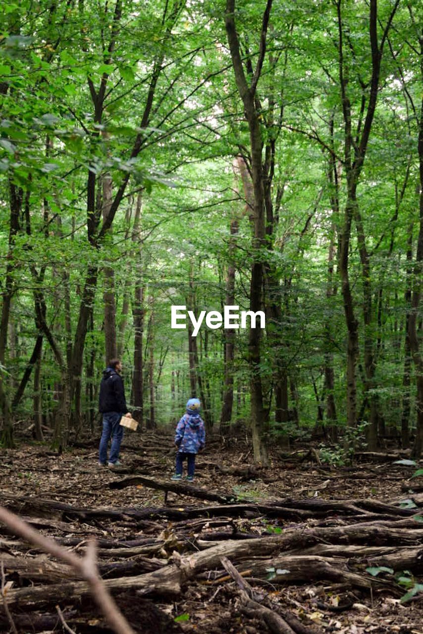 Father and boy walking in forest