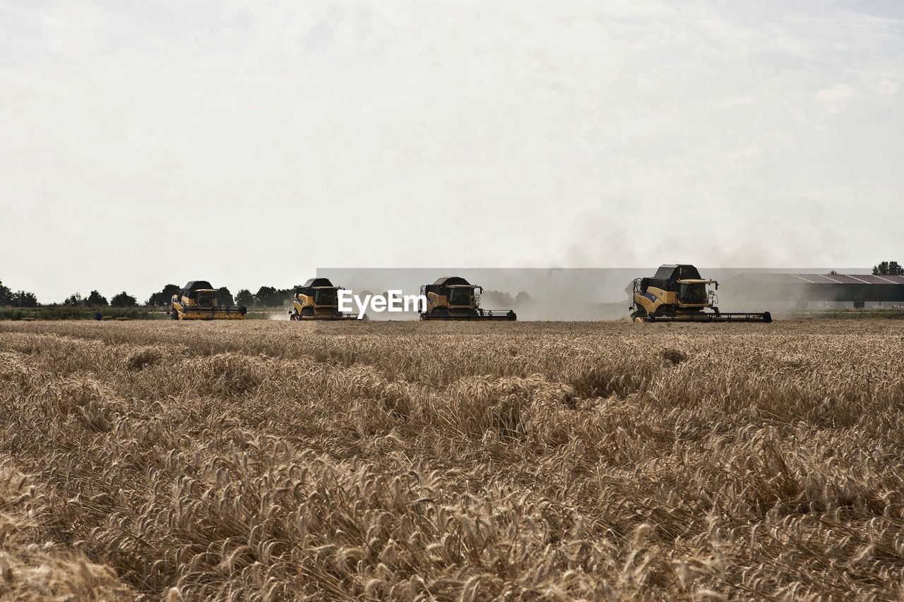 Hay bales on field against sky