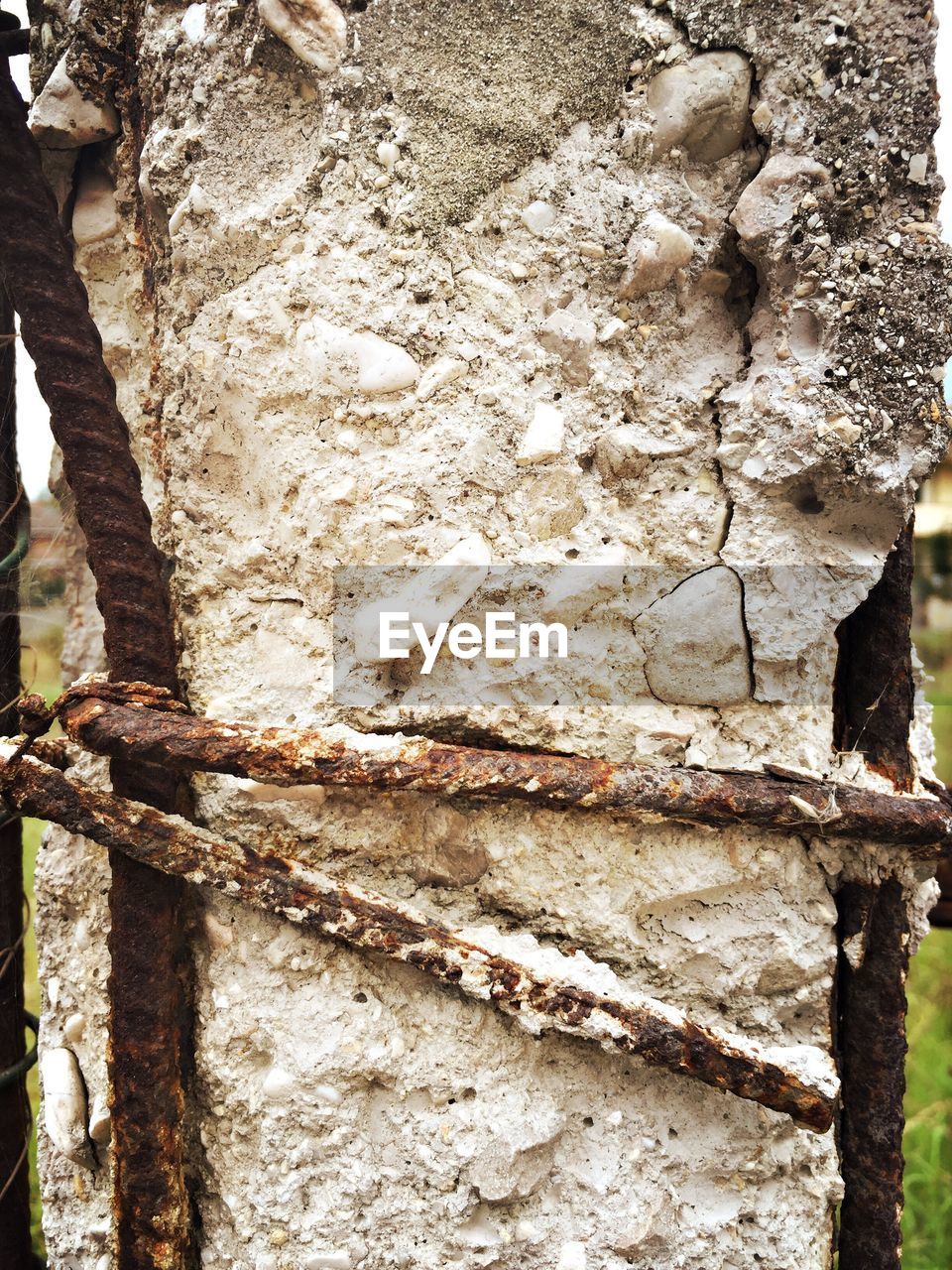 FULL FRAME SHOT OF TREE TRUNK