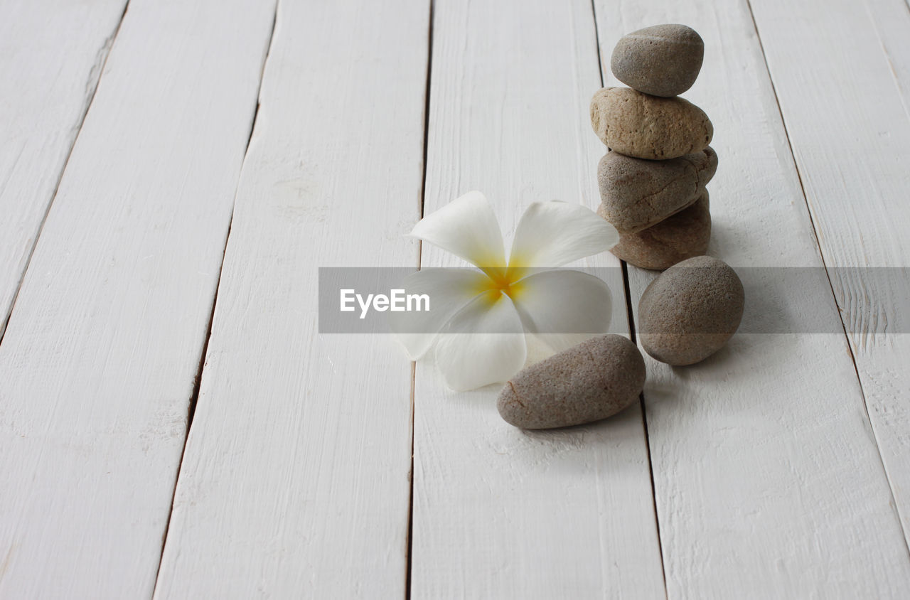 HIGH ANGLE VIEW OF WHITE FLOWERS ON WOODEN TABLE