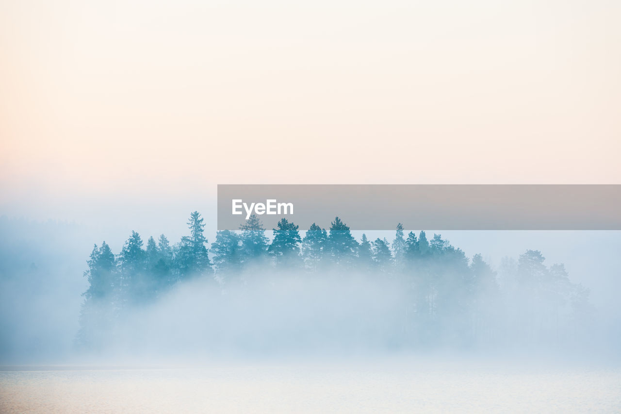 Mist on lake in morning light