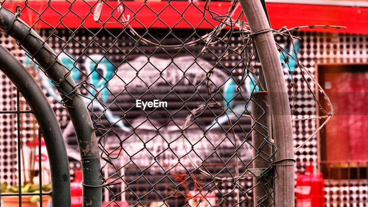 Chainlink fence in cage, 'the kiss'