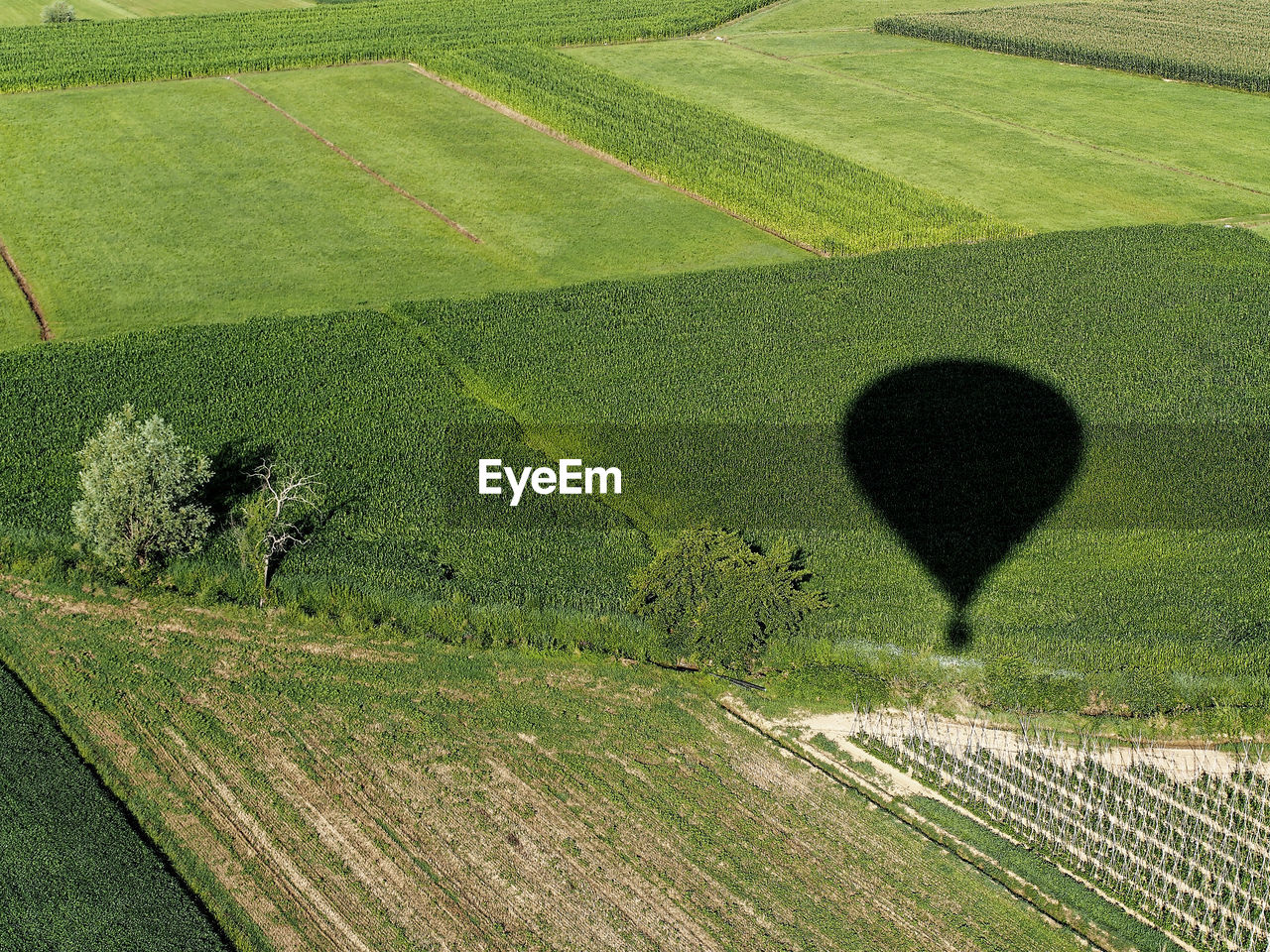 Shadow of hot air balloon on land