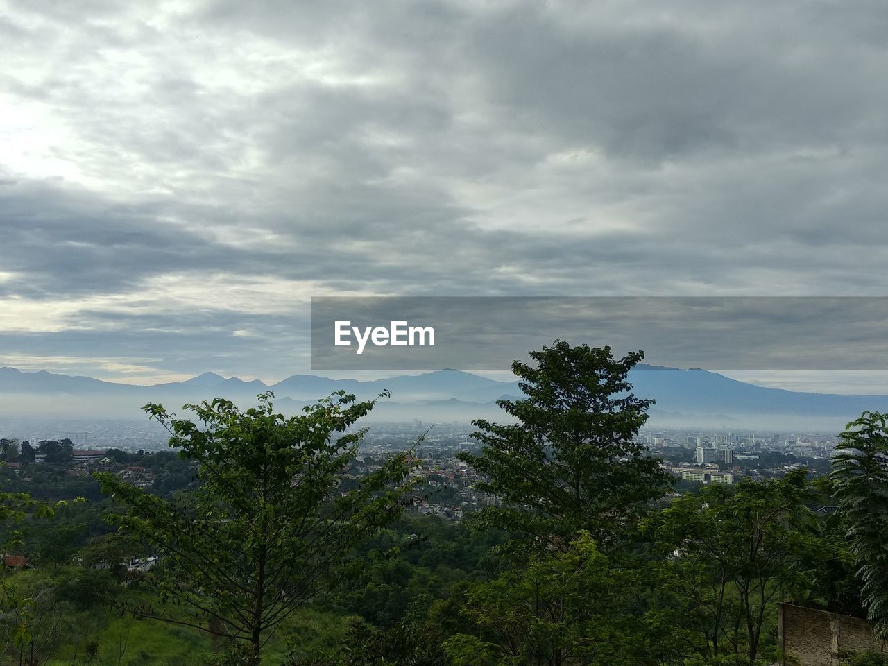 SCENIC VIEW OF TREE MOUNTAINS AGAINST SKY