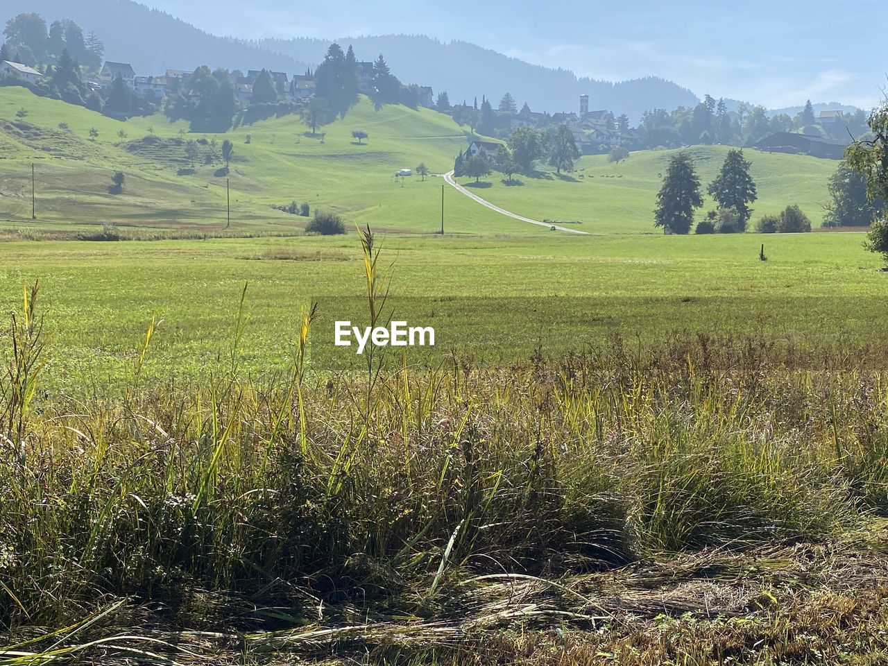 SCENIC VIEW OF FARM FIELD