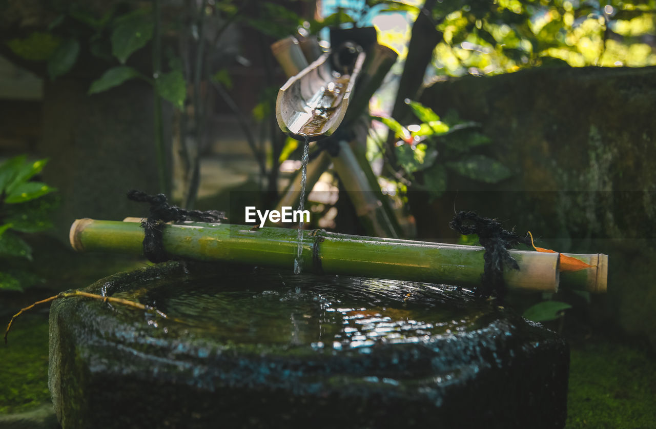 Close-up of water fountain