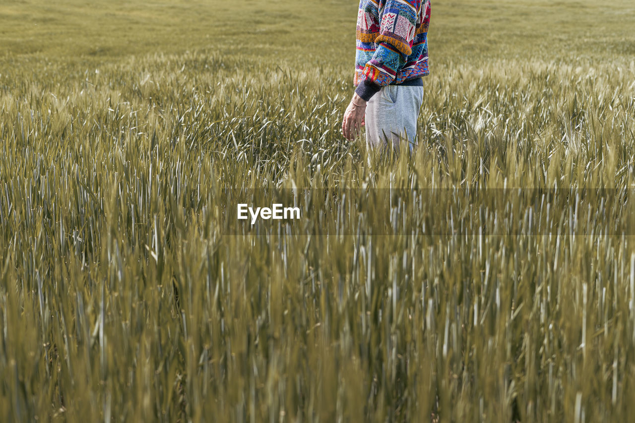 Photo of half body of a caucasian man standing in a farmland full of green rye plants during spring