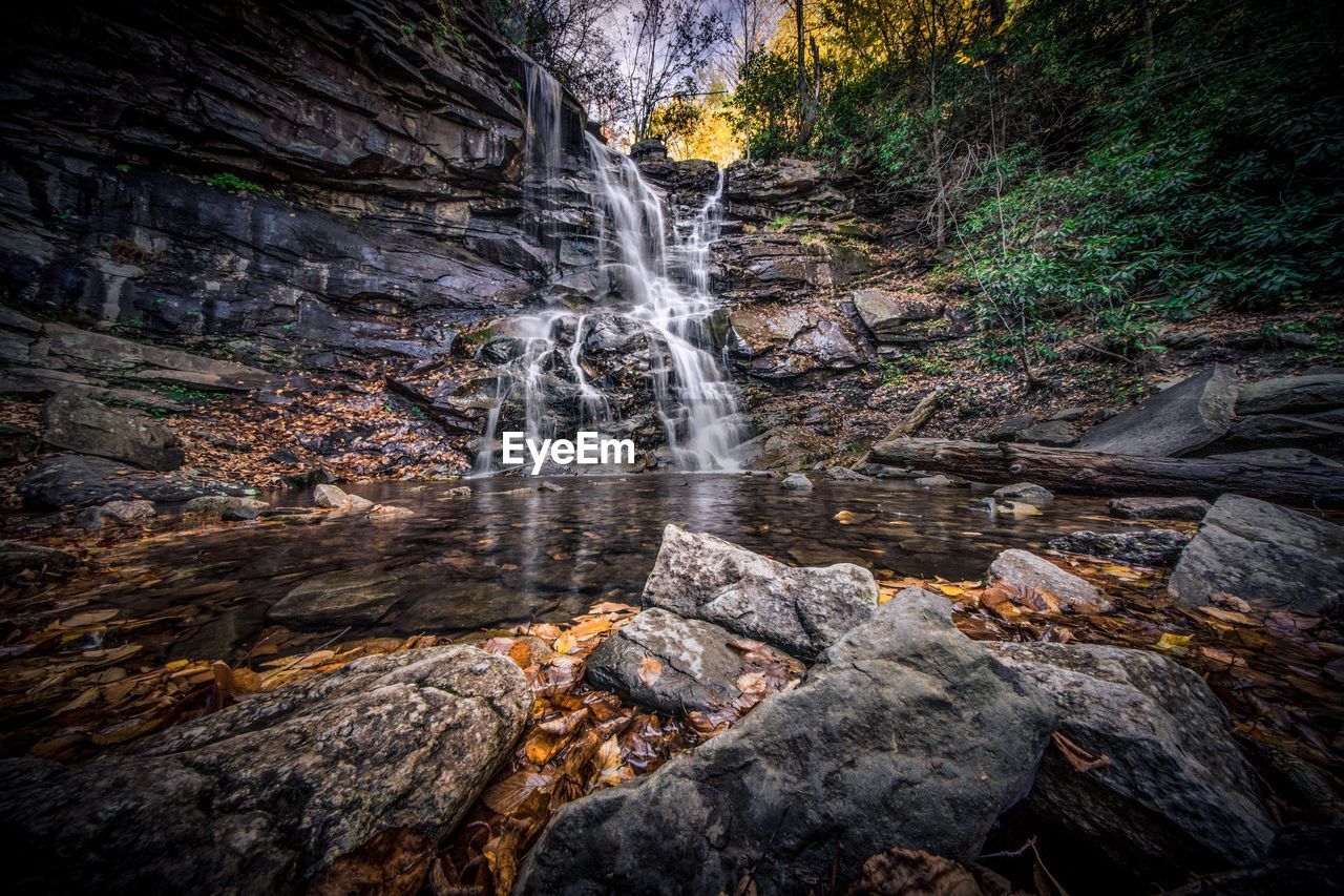 WATER FLOWING THROUGH ROCKS IN FOREST