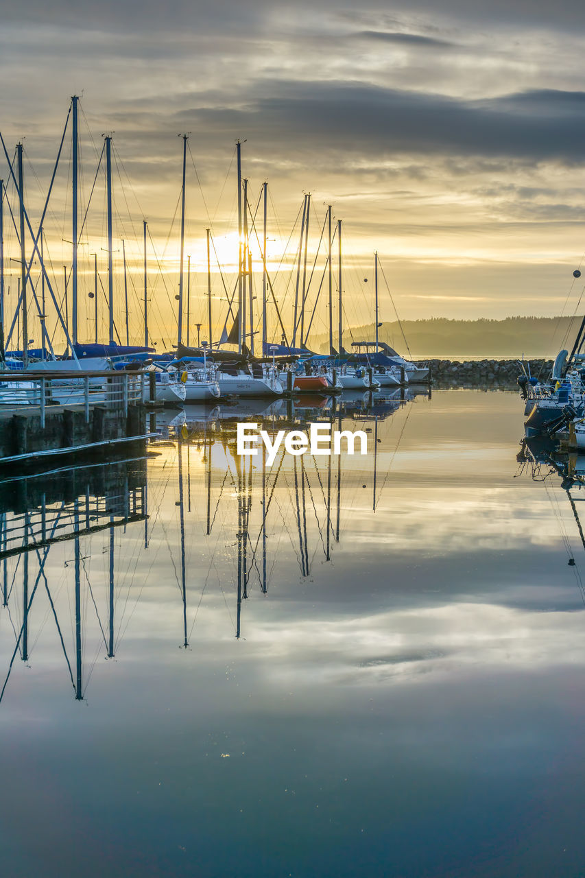 Sailboats in marina at sunset