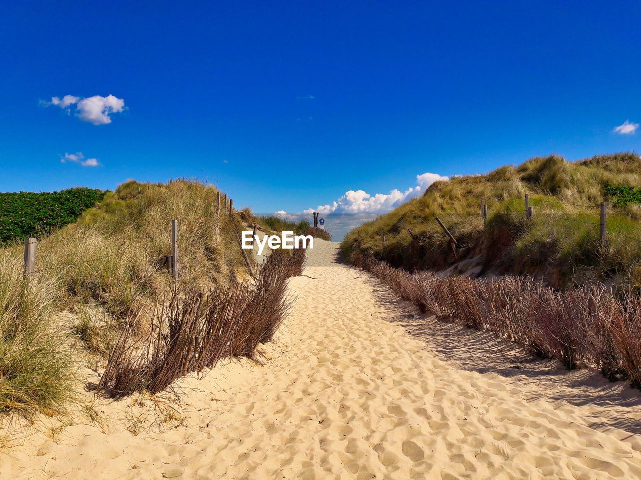 PANORAMIC SHOT OF LAND AGAINST SKY