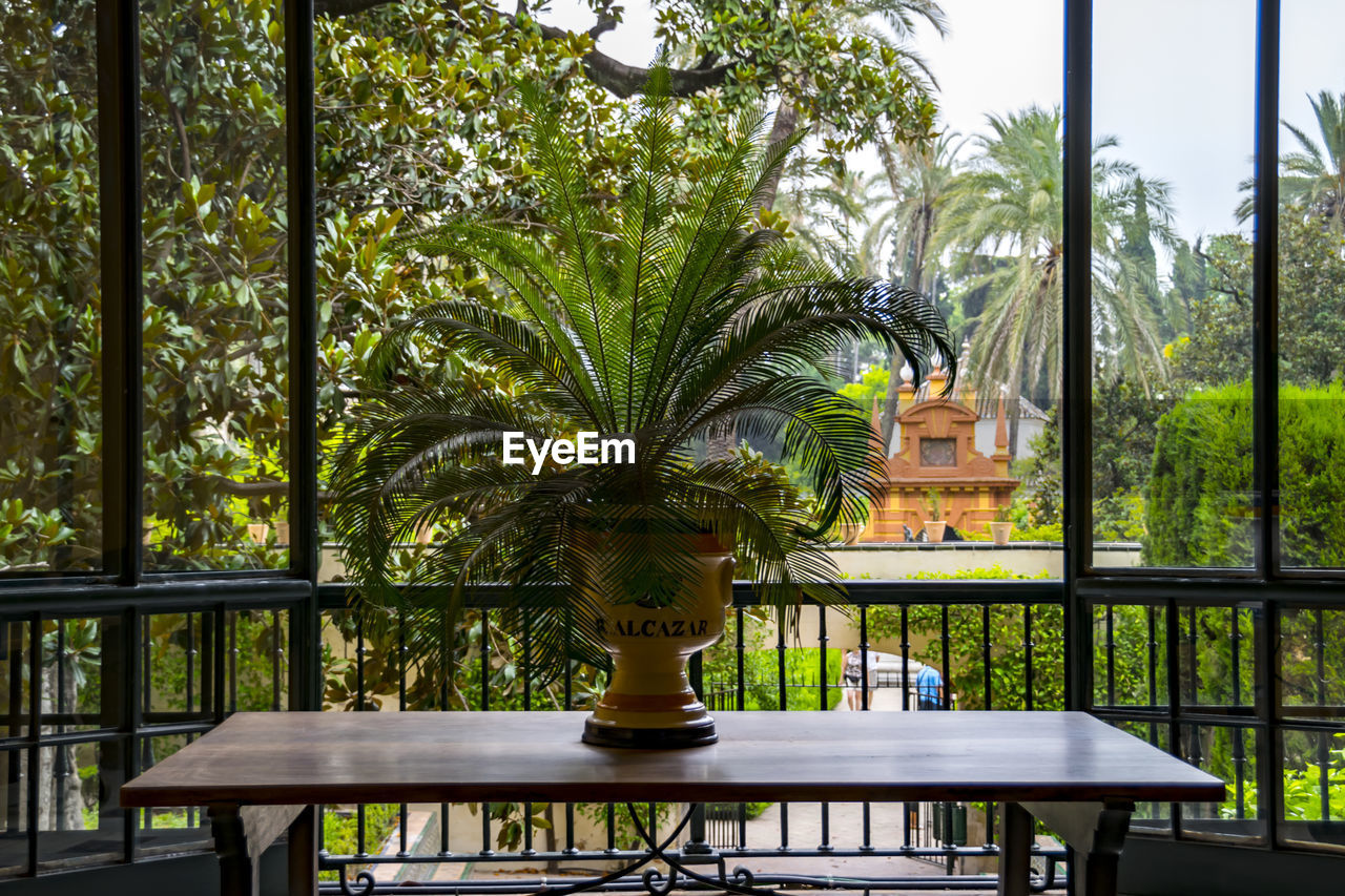 EMPTY CHAIRS AND TABLE BY TREES AGAINST WINDOW