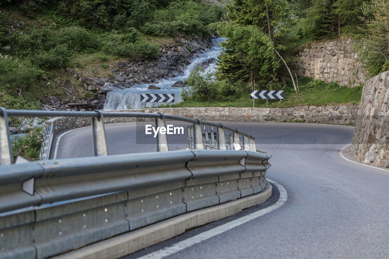 VIEW OF AN ANIMAL BY ROAD