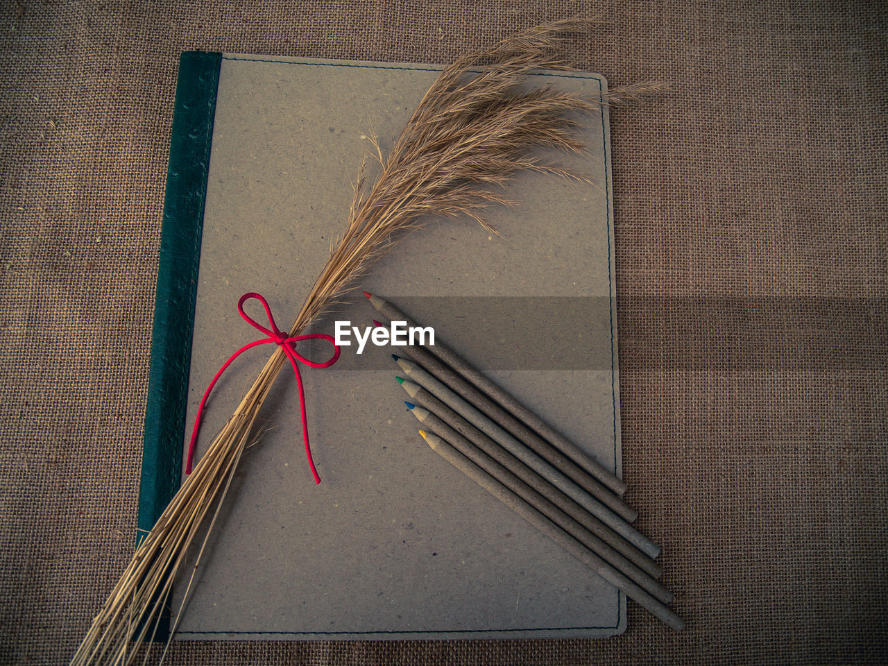 High angle view of book and pencil with stalk on table