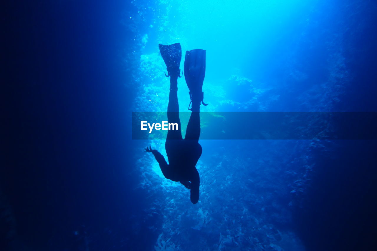 Full length of swimming cave diving silhouette in blue sea waters of vava'u, tonga