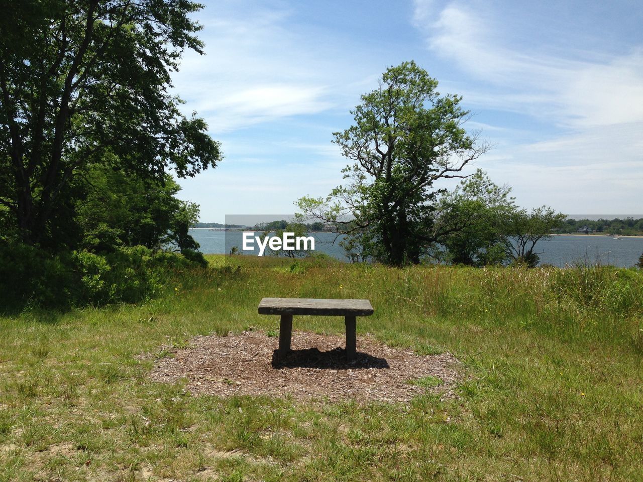 Wooden seat in grassy field