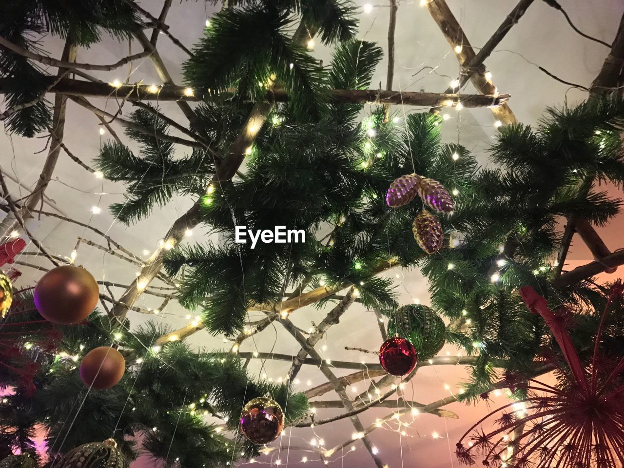 LOW ANGLE VIEW OF ILLUMINATED CHRISTMAS TREE AGAINST SKY