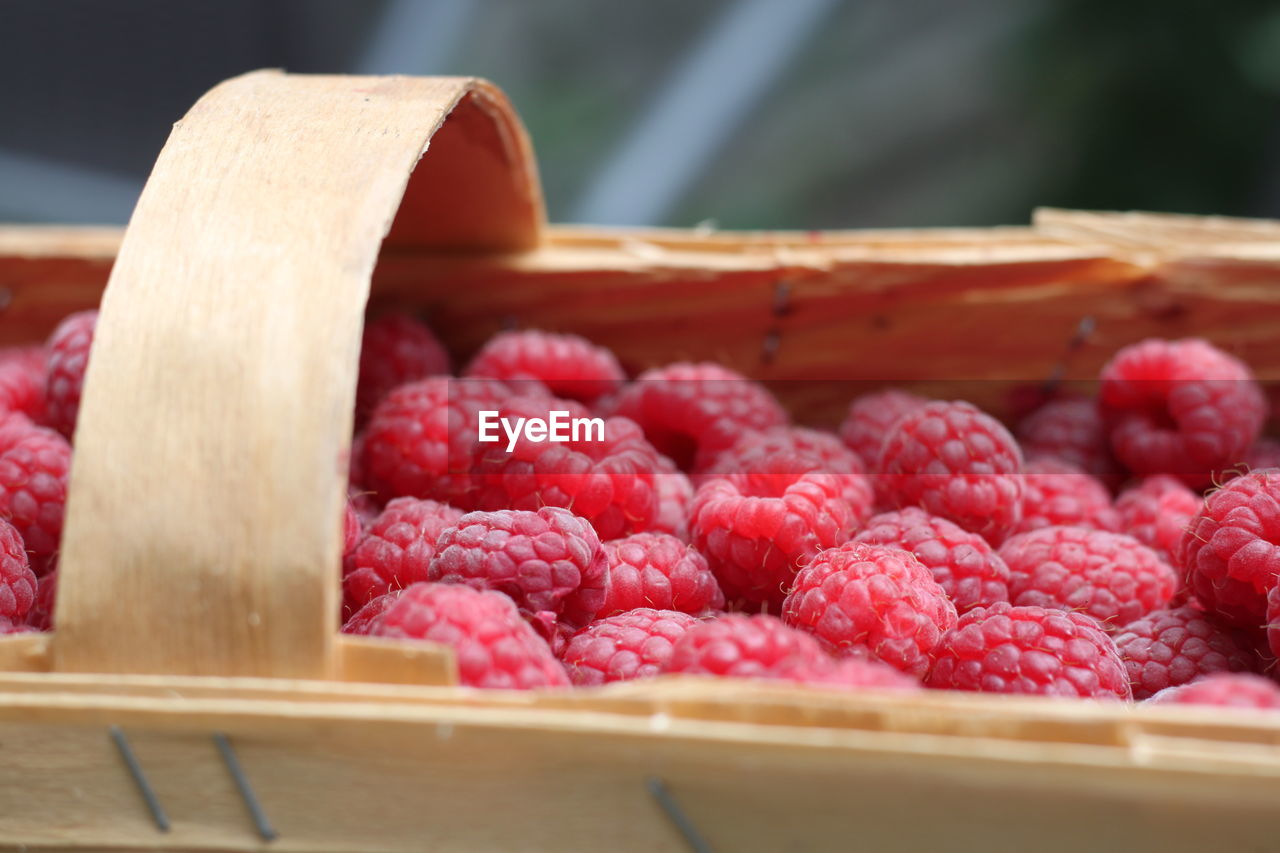 CLOSE-UP OF FRESH STRAWBERRIES IN BASKET