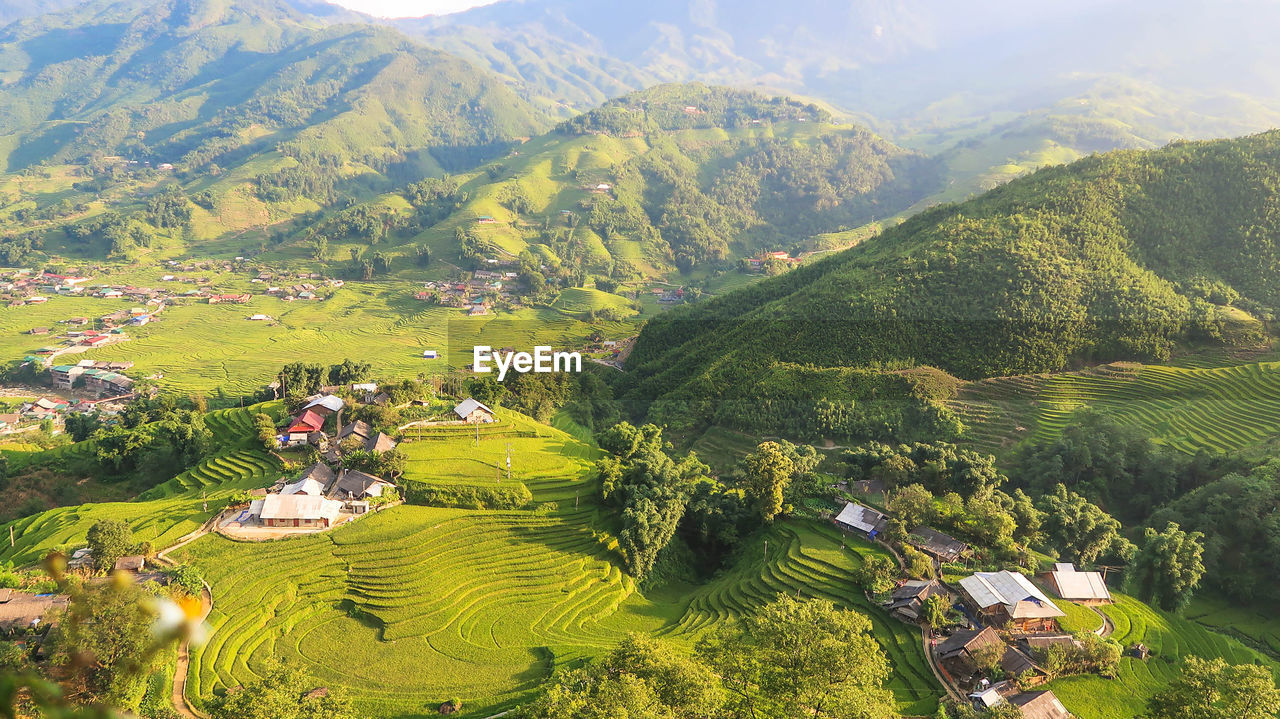 Scenic view of agricultural field by houses and mountains