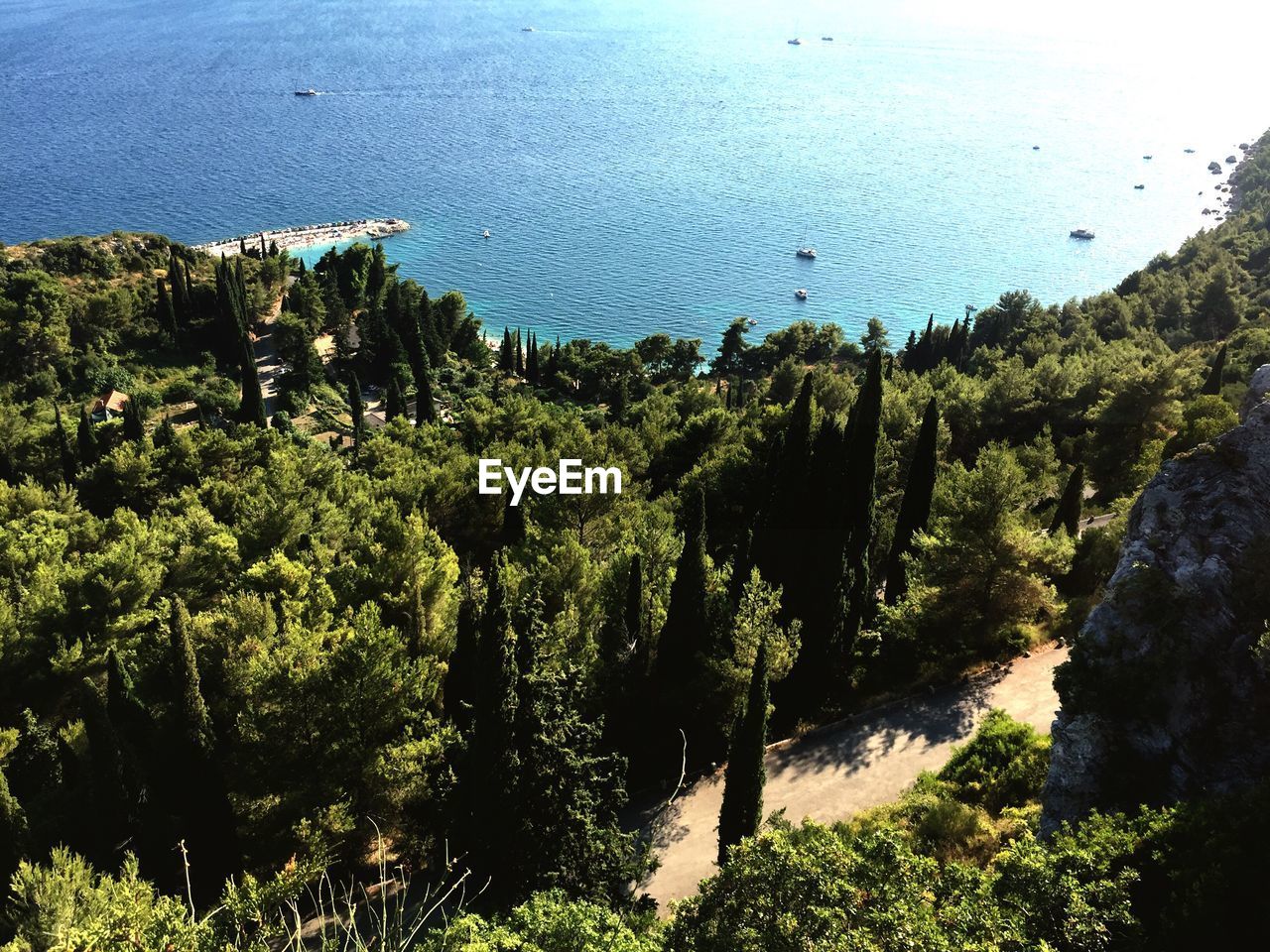 High angle view of trees growing on hill by sea