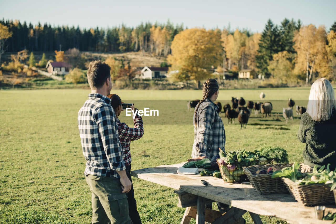 Multi-ethnic farmers watching herd of sheep at field