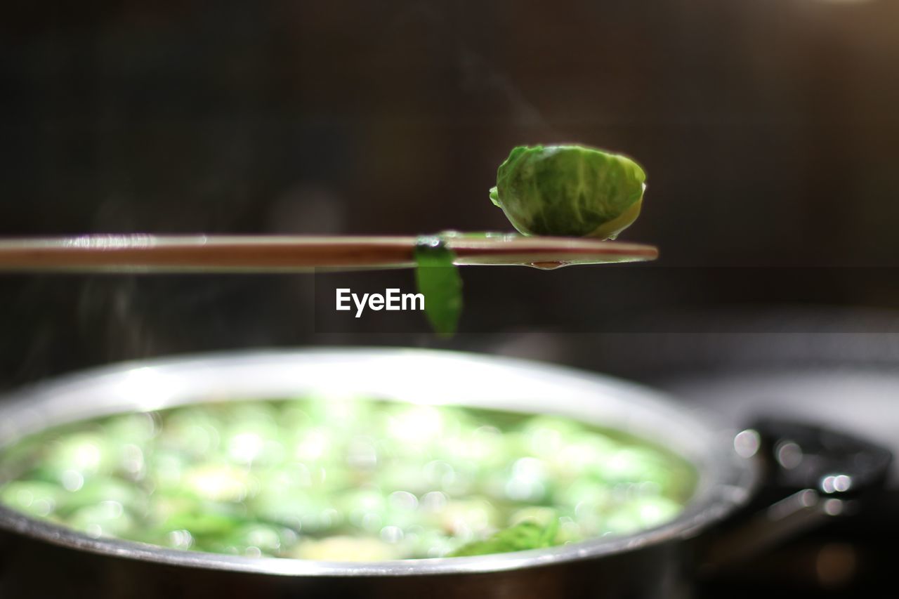 Close-up of leaf floating on water