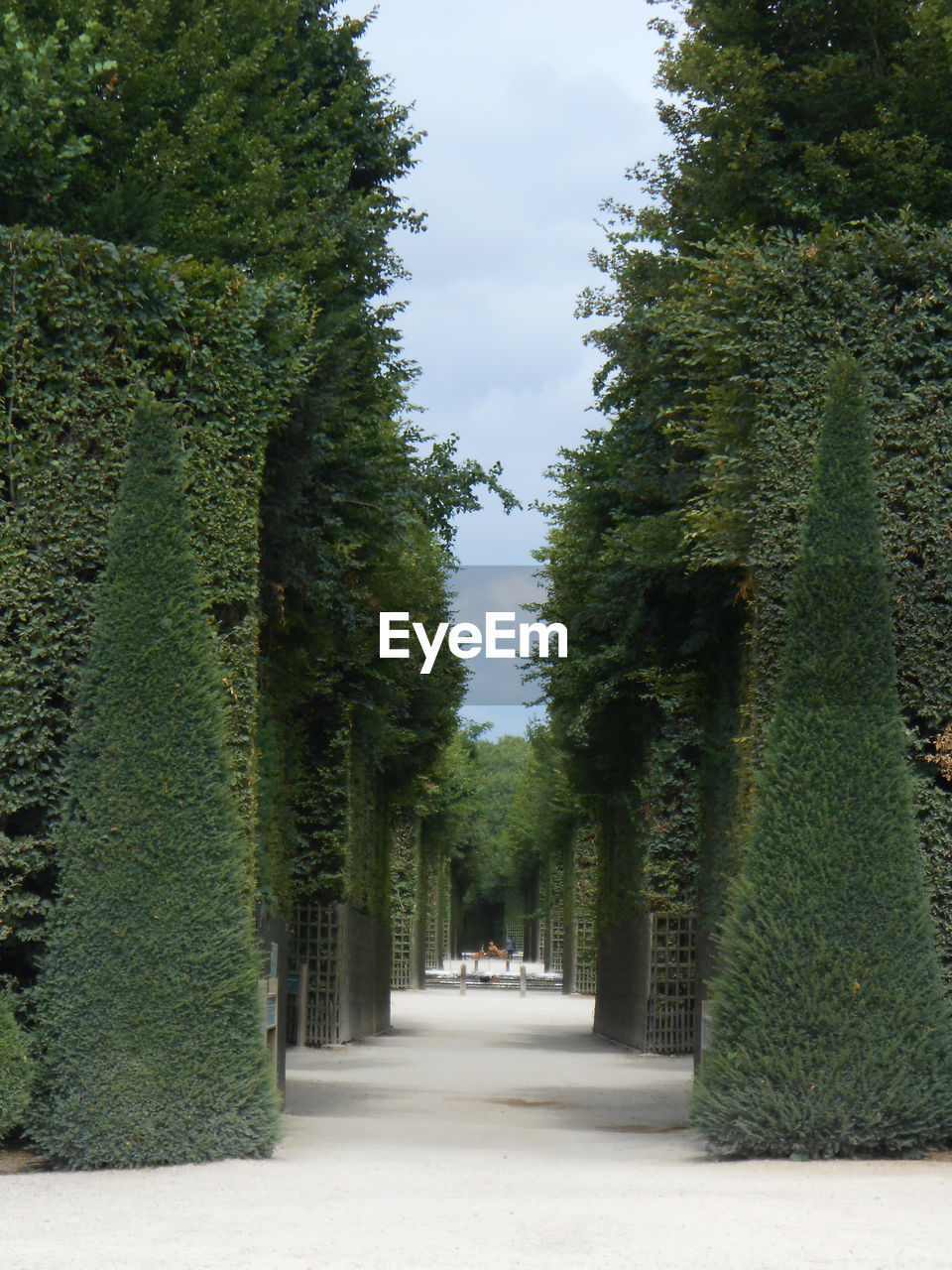 View of footpath in formal garden