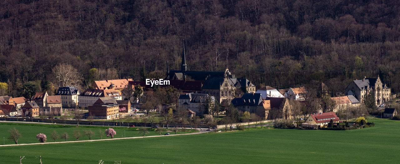 HIGH ANGLE VIEW OF TREES AND HOUSES ON FIELD