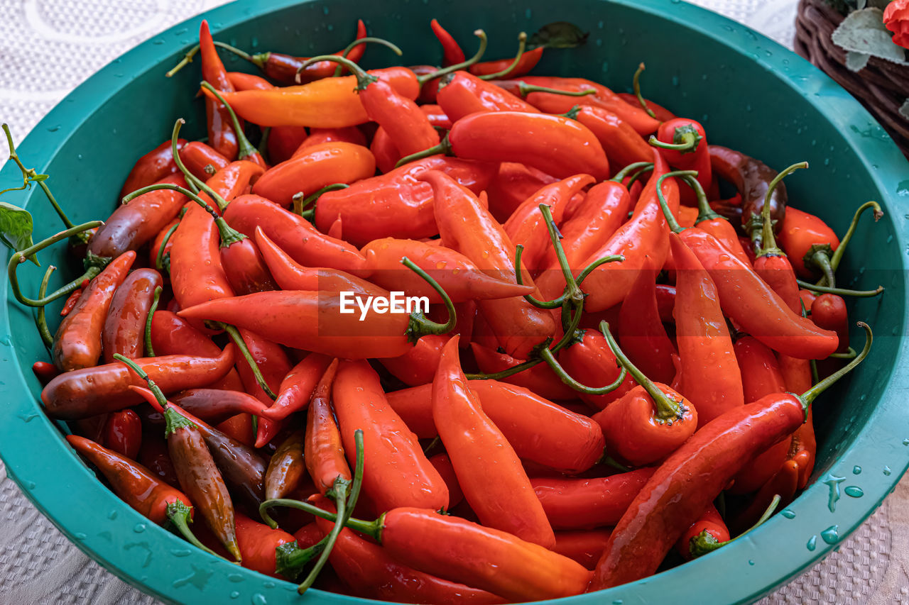 high angle view of vegetables in bowl