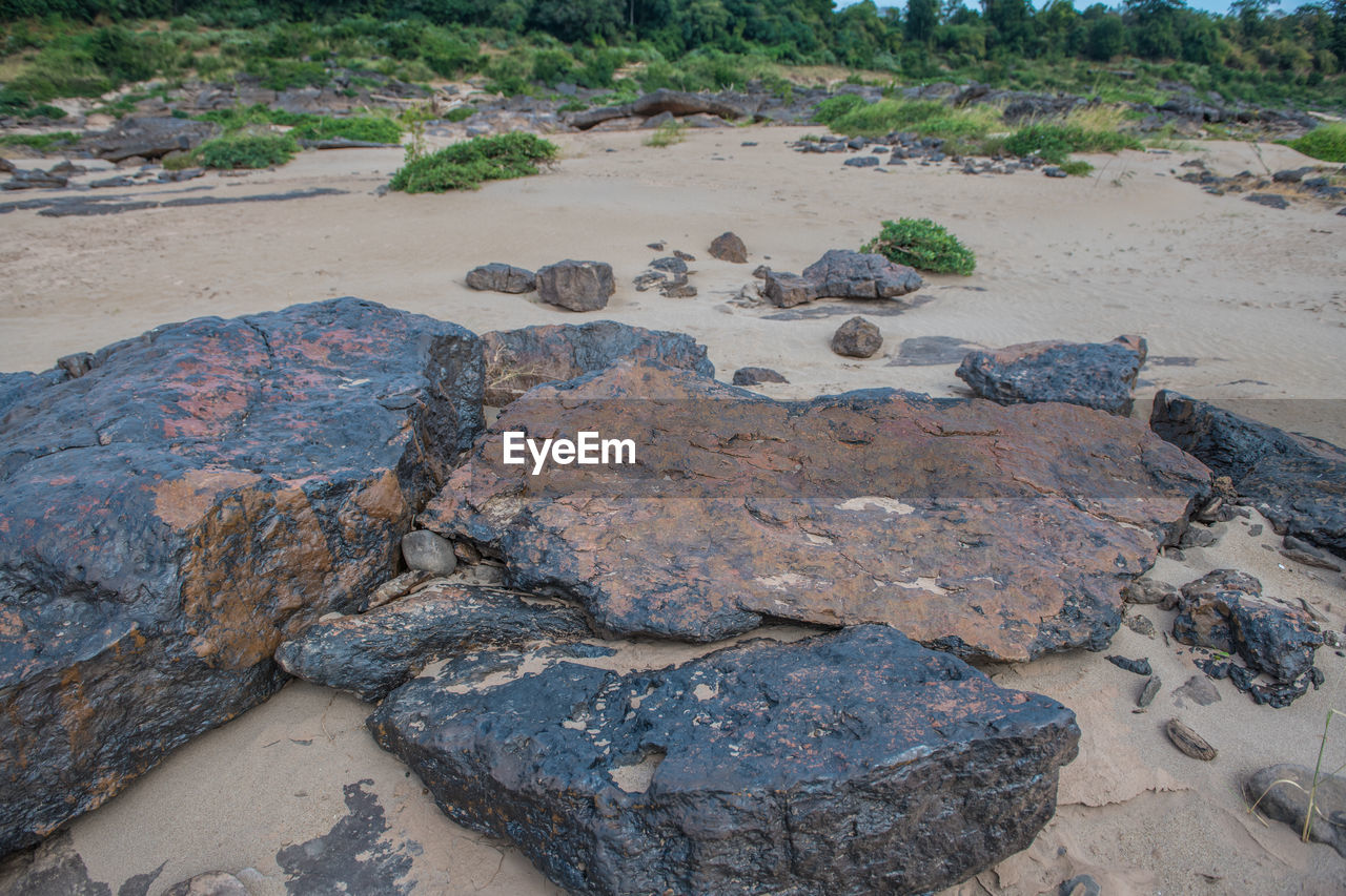 land, geology, rock, nature, water, environment, soil, beach, no people, landscape, sand, day, scenics - nature, outdoors, beauty in nature, coast, tranquility, plant, tree, sea, shore, boulder, non-urban scene, travel destinations, high angle view