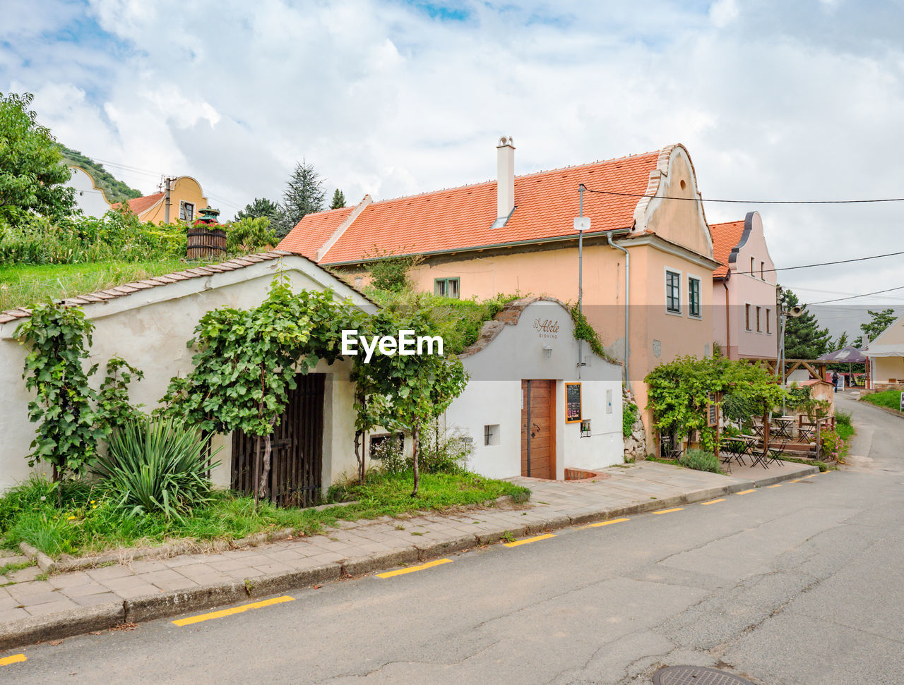 Pavlov, czechia.  august 2021. the last street close to vineyards, fruit orchards in palava region