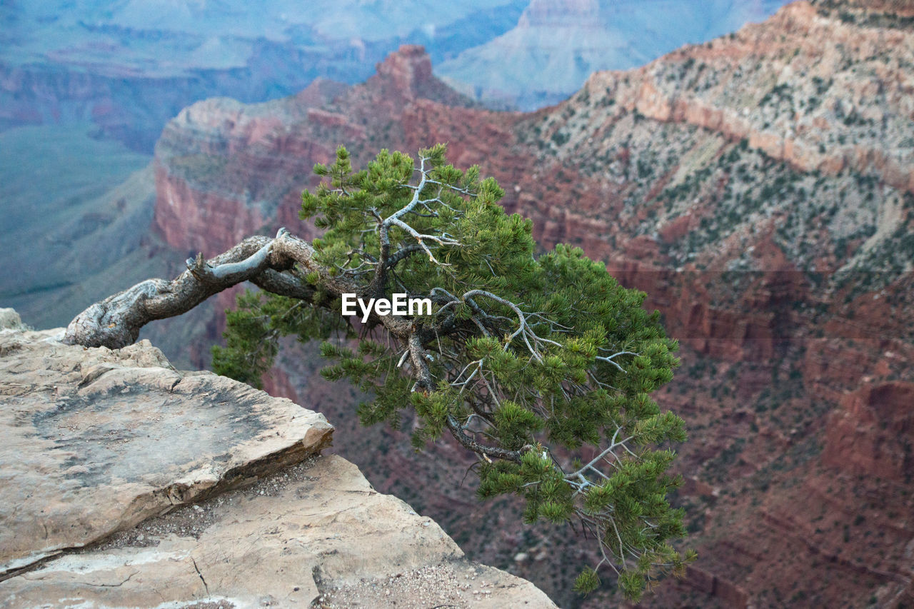 Close-up of rock formation against mountains