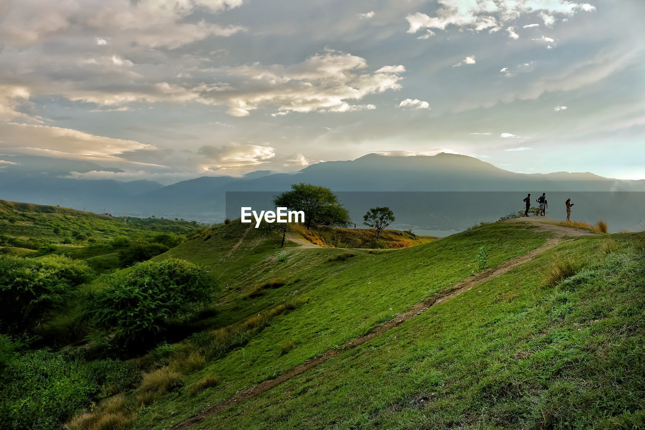 Scenic view of grassy field against sky